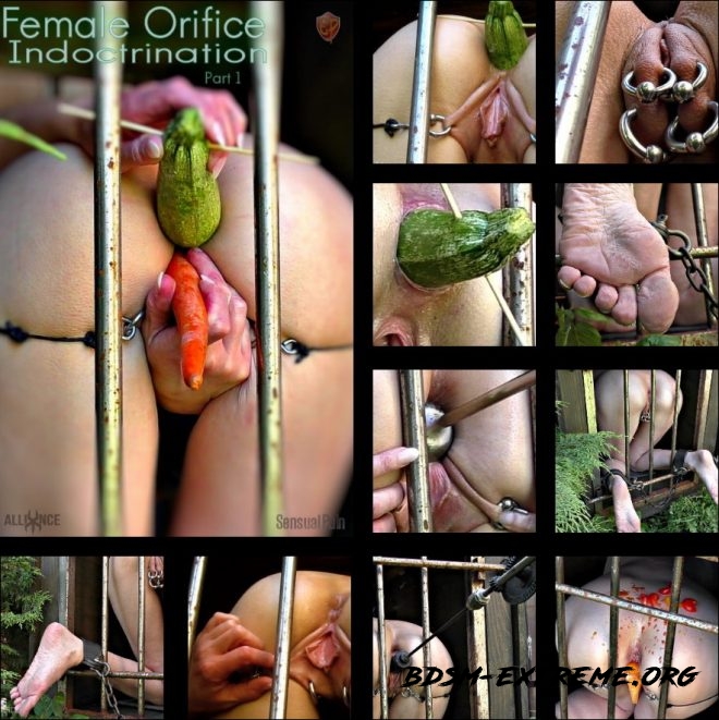 Female Orifice Indoctrination part 1 With Abigail Dupree (2019/FullHD) [SENSUAL PAIN]