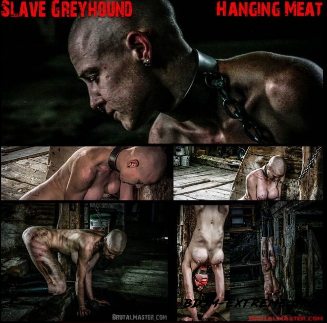 Brutal Master Hanging Meat: Slave Greyhound (2019/FullHD)