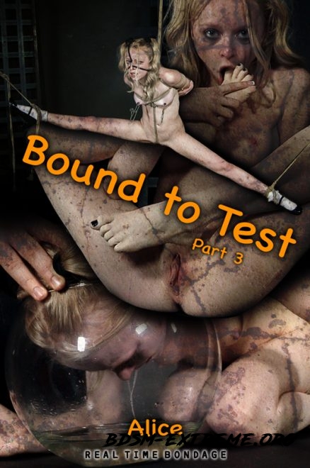Bound to Test 3 (2020/HD) [REAL TIME BONDAGE]