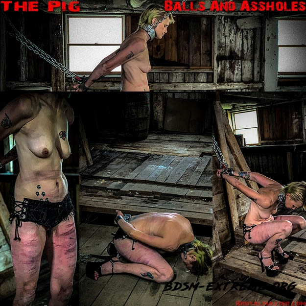 The Pig – Balls And Assholes (2020/FullHD) [BrutalMaster]