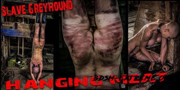 Slave Greyhound (2020/FullHD) [Hanging Meat]