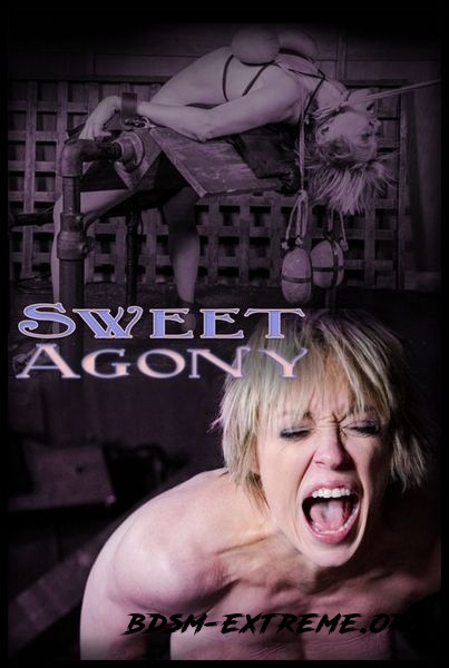 Sweet Agony Part 3 With Dee Williams (2017/HD)