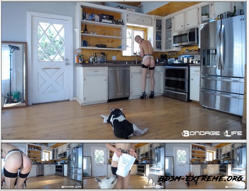 Domestic Service With Rachel Greyhound (2020/HD) [Bondage Life]