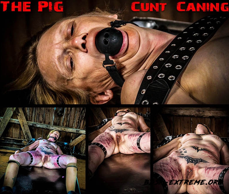 The Pig – Cunt Caning (2020/FullHD) [BrutalMaster]