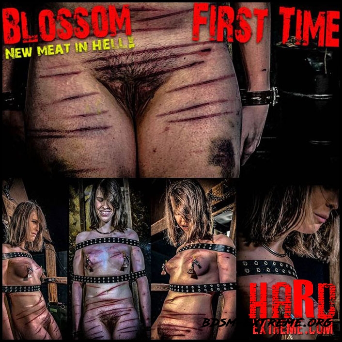 NEW MEAT Blossom First Time (Chapter One) (2021/FullHD) [BrutalMaster]