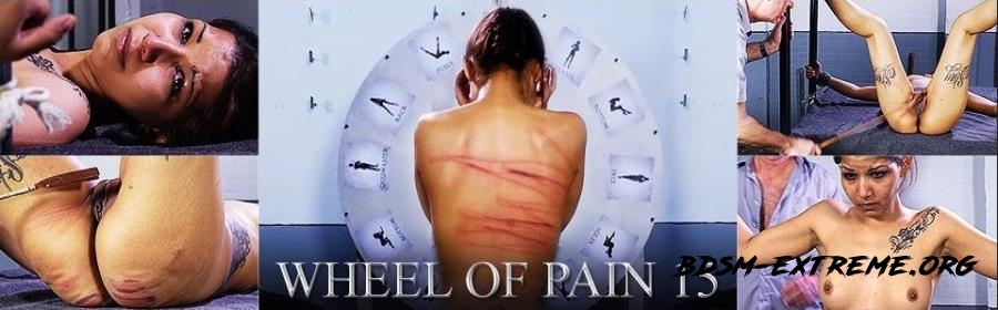 Wheel of Pain 15 (2022/FullHD) [ElitePain]